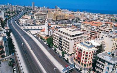 تكاثر البرغش في بيروت والسكان يناشدون