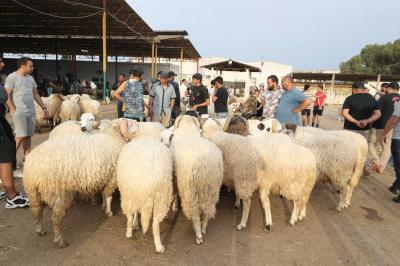 المغرب.. إصدار قرار بشأن "شوي رؤوس الأضاحي" في العيد