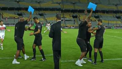 بالفيديو- مدرب الزمالك 