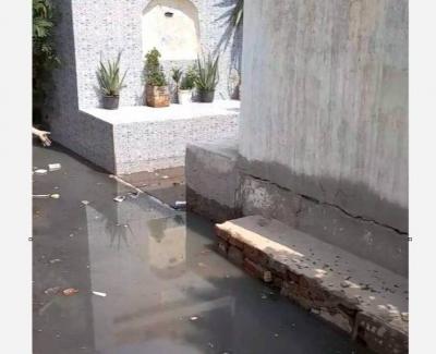 ضريح الشعراوي يتعرض للغرق في مصر