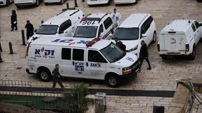 إسرائيلية تقتل ابنها وتتجول بالفأس في الشارع (فيديو)