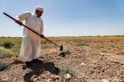 العراق... خطوة عاجلة لمواجهة أزمة التصحر