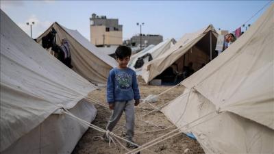 أستراليا ونيوزيلندا وكندا: وقف فوري لإطلاق النار في غزة